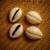 Four cowrie shells